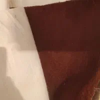 موکت پالاز ۹ متری|موکت|خرم‌آباد, |دیوار