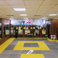 آموزش خصوصی کیوکوشین کاراته