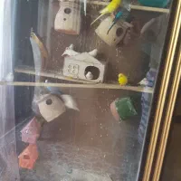 فنج و مرغ عشق