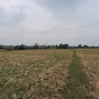 زمین‌ مزروعی ۱۵/۰۰۰متری تسطیح‌نشده در تالش کلفارود|فروش زمین و ملک کلنگی|تالش, طولارود|دیوار