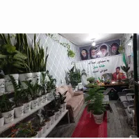 524-متر-زمین-تجاری-مسکونی-خ-اصلی