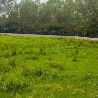 فروش-زمین-گردشگری