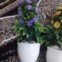 گل مصنوعی|گل مصنوعی|خرم‌آباد, |دیوار