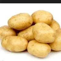 فروش سیب زمینی درجه۱|عمده‌فروشی|خاوه, |دیوار