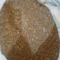 بذر یونجه