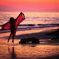 گشت جزیره قشم با ماشین