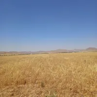 کاه‌گندم