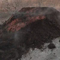 کود گاوی سوخته درجه 1|خدمات باغبانی و درختکاری|چناران, |دیوار