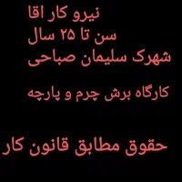 نیروی کار مرد حداکثر سن ۳۰ سال