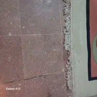 فرش ماشینی|فرش|گرمدره, |دیوار