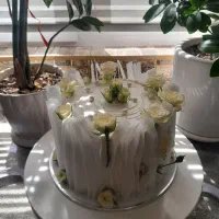 کیک تولد خانگی و رشته خشکار گیلانی