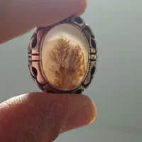 شجرطبیعی|جواهرات|کبودرآهنگ, |دیوار