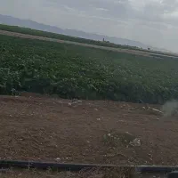 اجاره زمین کشاورزی