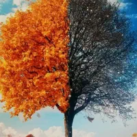 مشورت و راهنمایی