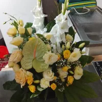 گل رومیزی