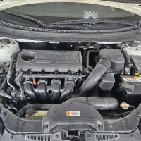 سراتو کلکسیونی