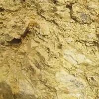 بنتونیت قاسم آباد رفسنجانی