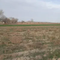 زمین باغی با اب چاه موتور، مناسب خانه باغی