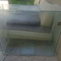 آکواریوم|ماهی|هشتگرد, فشند|دیوار