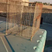 قفس غلامی