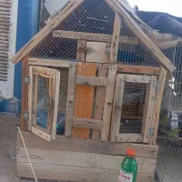 قفس گنجه