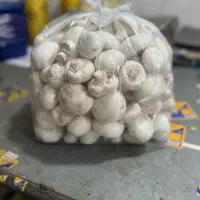قارچ|خوردنی و آشامیدنی|کرج, مصباح|دیوار
