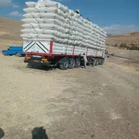 کاه کندم وعدس قیمت توافقی