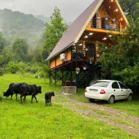 اجاره-روزانه-کلبه-و-ویلا