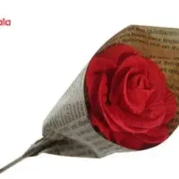 گل کاغذی|عمده‌فروشی|شوط, |دیوار