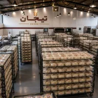 خمیر پیتزا لبه‌دار تیجان
