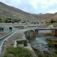 نقاشی تابلو