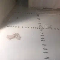 نیاز مند کارگر کاشی کار