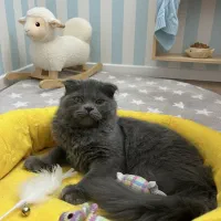 کادو ولنتاین زیبا