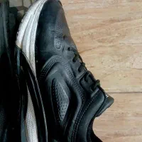 کفش|کیف، کفش، کمربند|کازرون, |دیوار