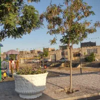 ملک مسکونی مود