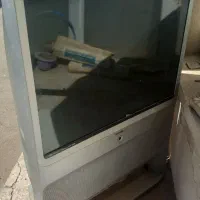 تلویزیون
