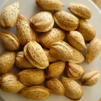 مویز و کشمش