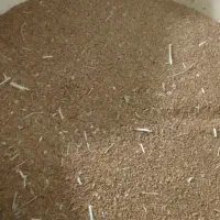 بذر سچین همدان