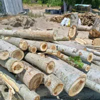 تولید و فروش پالت چوبی بصورت عمده|خدمات پیشه و مهارت|اصفهان, کوی امیریه|دیوار