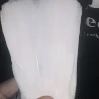 قره دم سفید