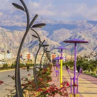 زمین ۲۴۰ متری دونبش نرسیده به متولی
