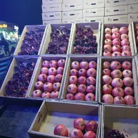 عرضه کننده بهترین انار ایران|خوردنی و آشامیدنی|تهران, مسعودیه|دیوار