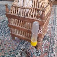قفس|لوازم جانبی حیوانات|اردبیل, |دیوار