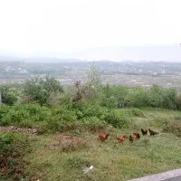 ۹۰۰ متر زمین ۱۳۰ متر جواز مسکونی