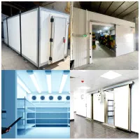 6419 فروش انواع 6419 سردخانه  6419