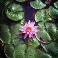 آثار باستانی و طبیعت
