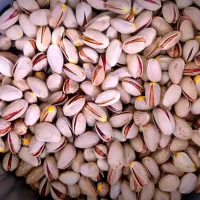 پسته|خوردنی و آشامیدنی|قم, زند آباد|دیوار
