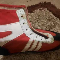 کفش کشتی