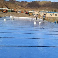 ایزوگام آراسته امیرآباد با مدیریت حسن آراسته|خدمات پیشه و مهارت|بیرجند, |دیوار