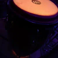 کونگا ماینل اصل سایز ۱۲|درام و پرکاشن|بابلسر, |دیوار